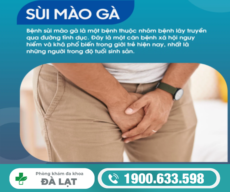 Bệnh sùi mào gà ở dương vật nam giới